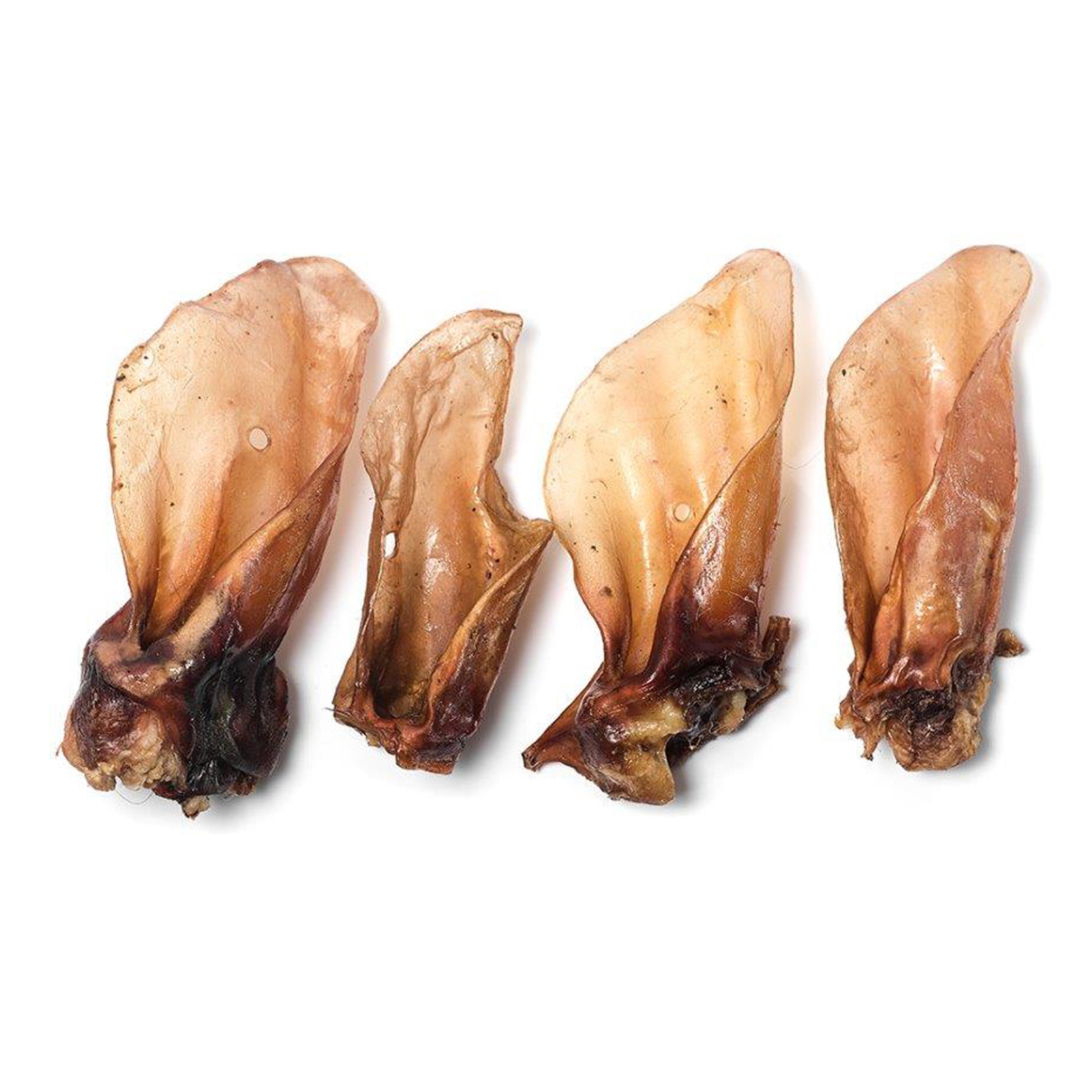 Drool Cow ears without hair 10pcs