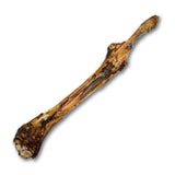 Drool Venison Bones 1 pack