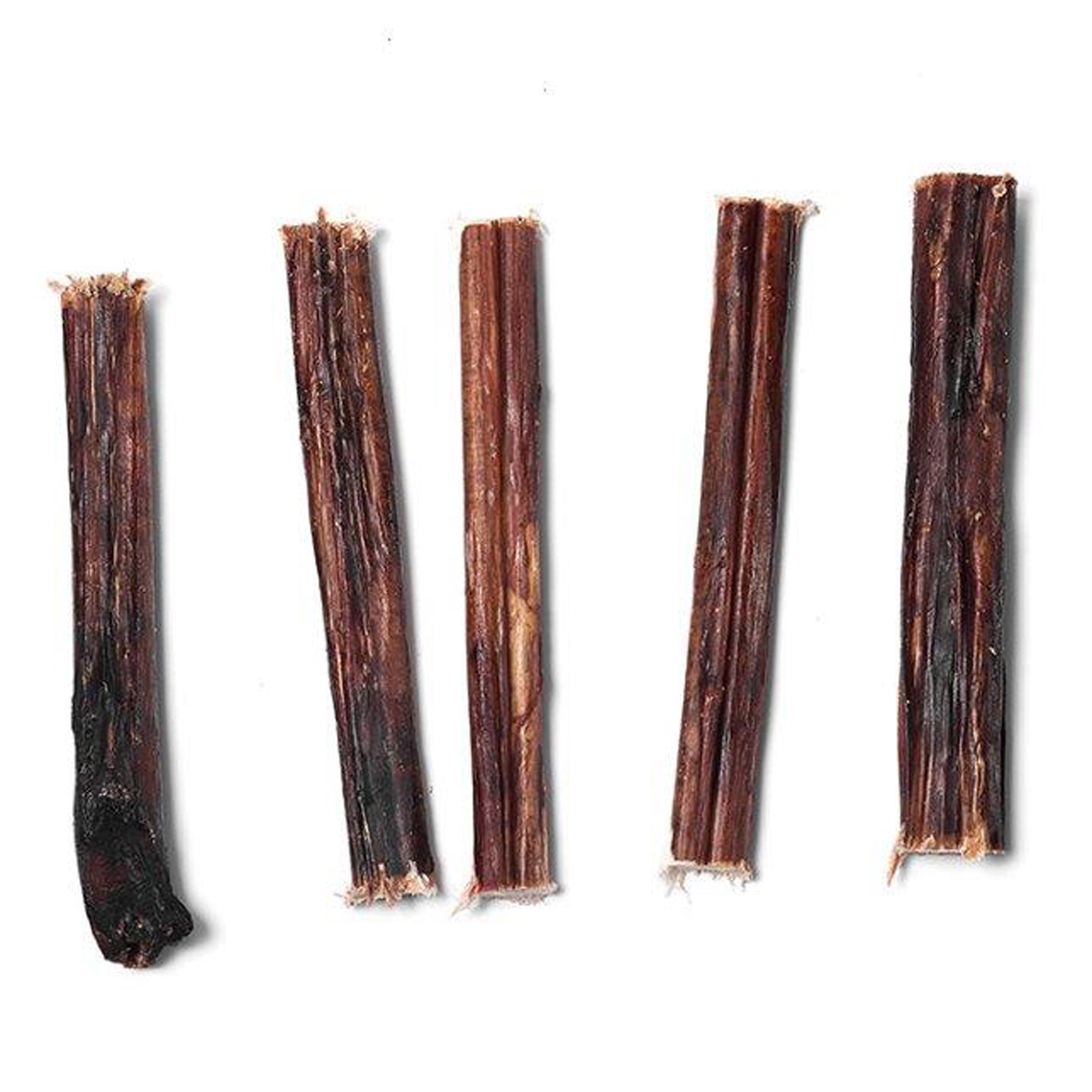Drool Bull Pizzle 5pcs