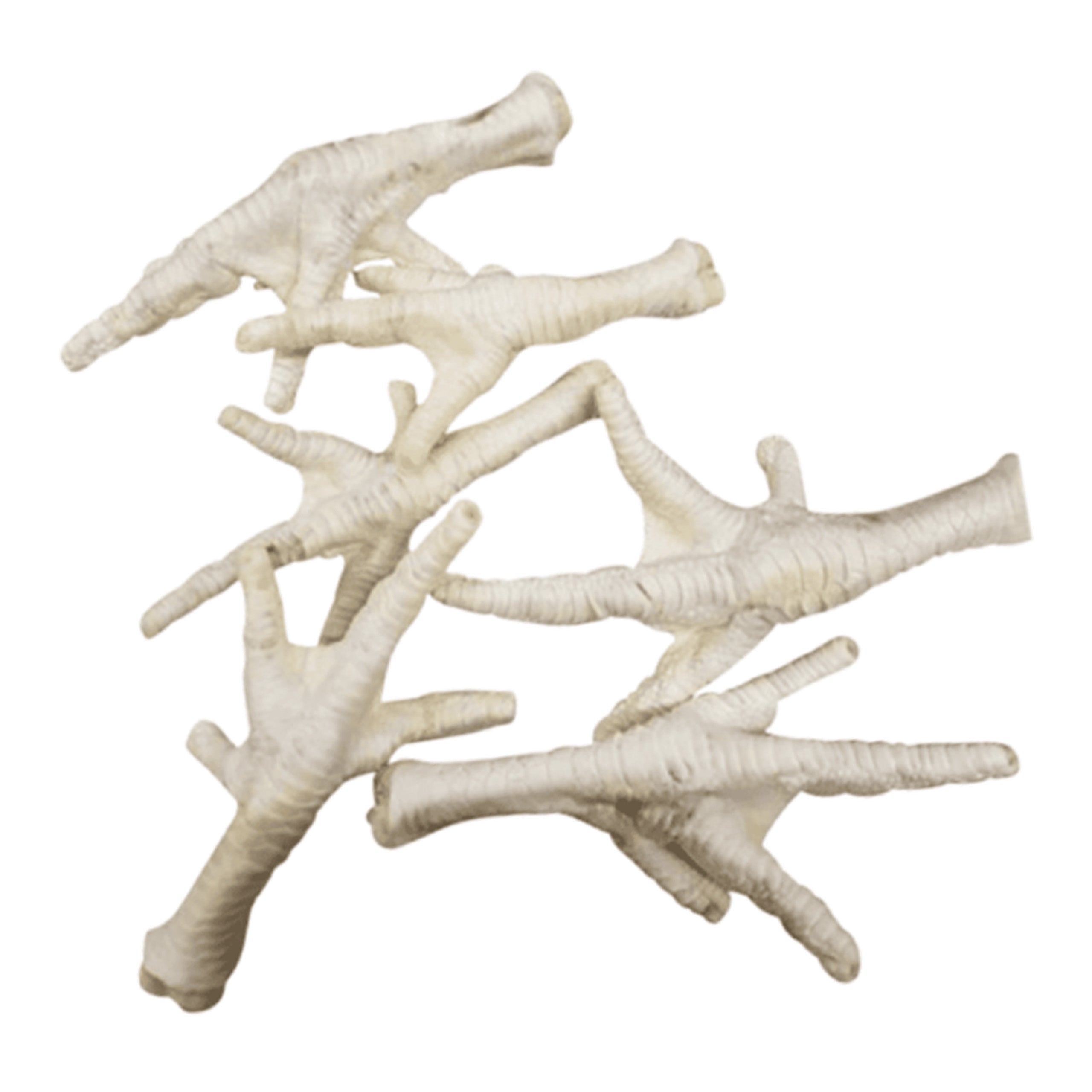 Drool Chicken Feet Puffed for Dogs