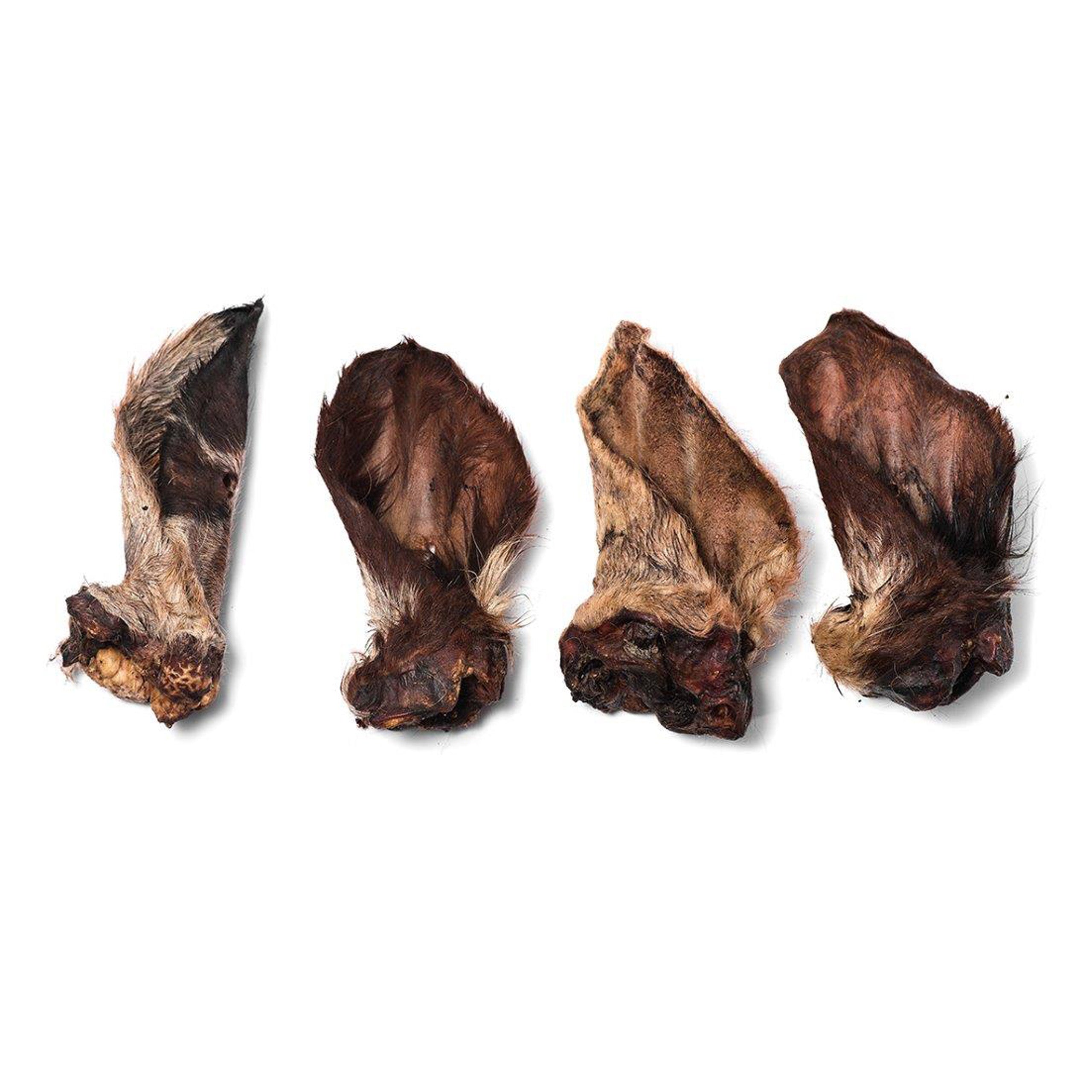 Drool Cow ears with hair 10pcs
