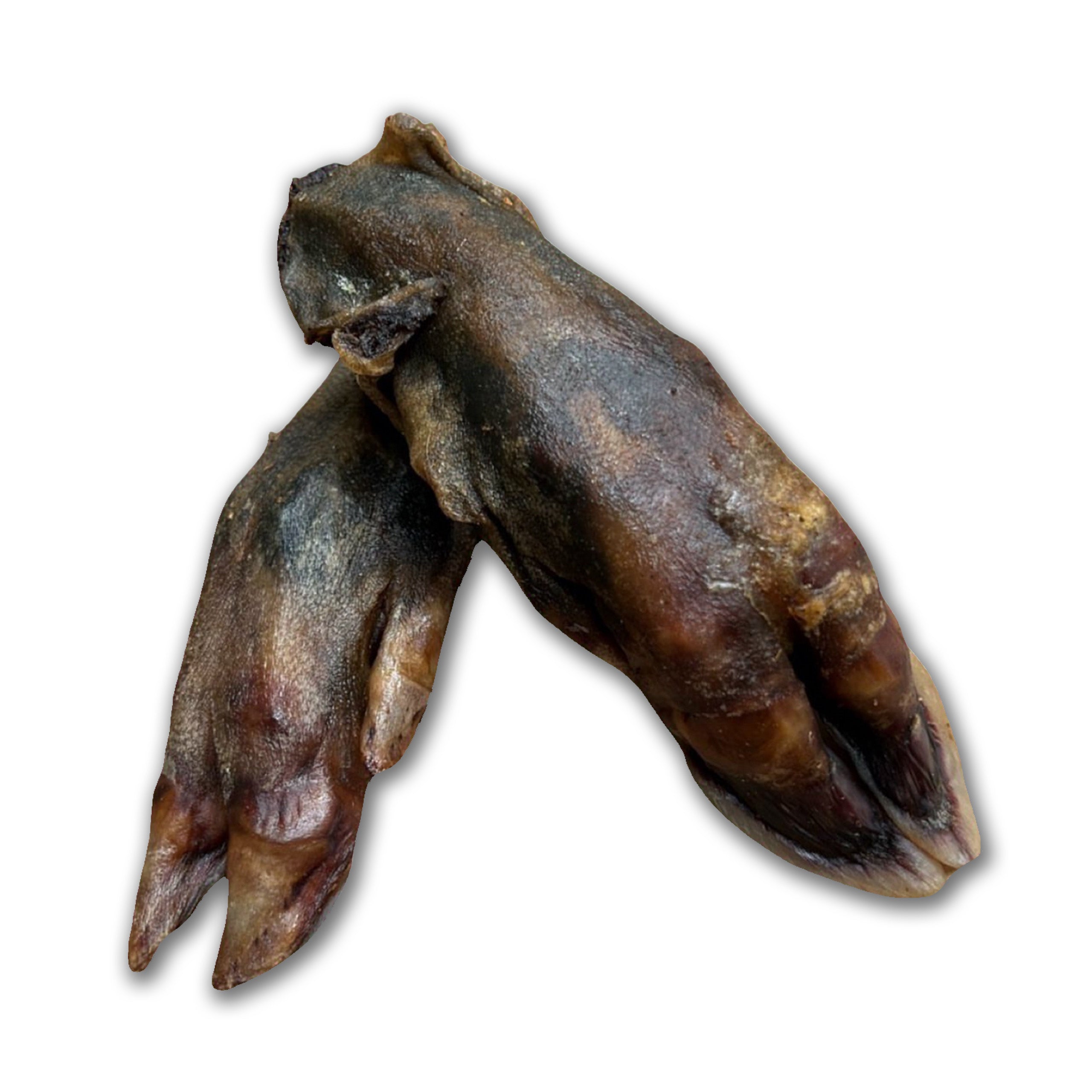 Drool Wild Boar Legs 10pcs